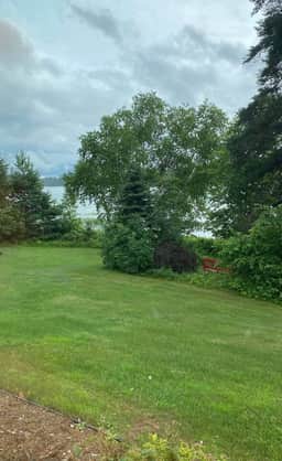 Honey Bear Hideaway Cabin B - Holiday Home