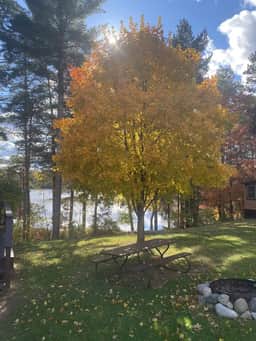 Honey Bear Hideaway A | Half Moon Lake Tomahawk