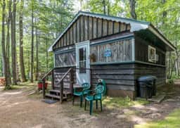 Vintage Cabin on Horsehead Lake - Image 2