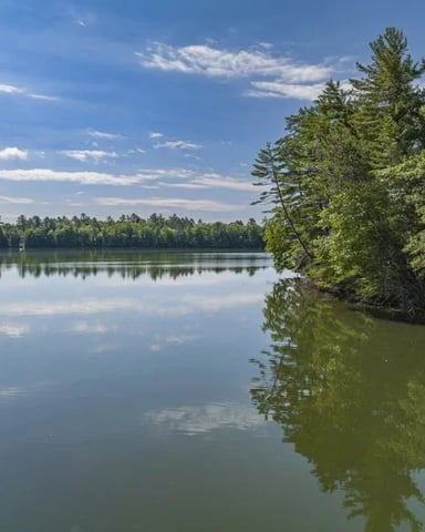 Swimming, Fishing, Paddling