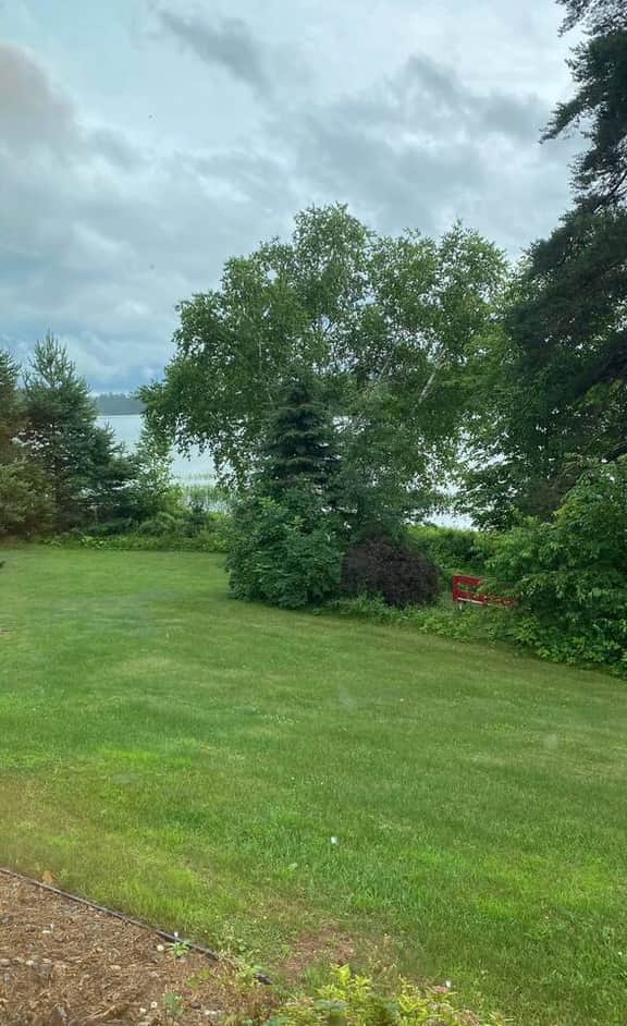 Honey Bear Hideaway Cabin B - Holiday Home